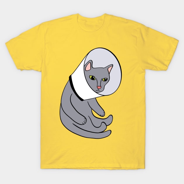 Cat in a Cone T-Shirt by Alissa Carin